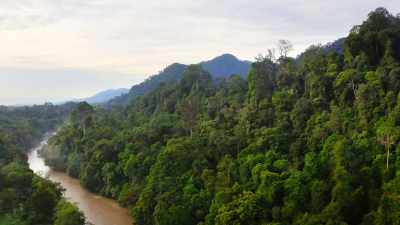 Heading inland,
Leuser quickly becomes mountainous. - Our Great National Parks