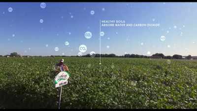 Healthy soils
absorb water and carbon dioxide. - Kiss the Ground