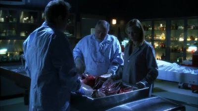 Heard about the shower. Nurse, huh? - CSI: Crime Scene Investigation