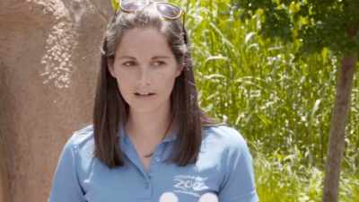 Heather: He needs really
long claws to be able to
dig in the earth - Secrets of the Zoo