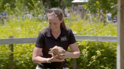 Heather: So we asked suzi to
come down to arthur's habitat - Secrets of the Zoo