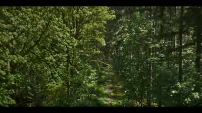 [Heather]
The Jeep broke down. - Earth Abides