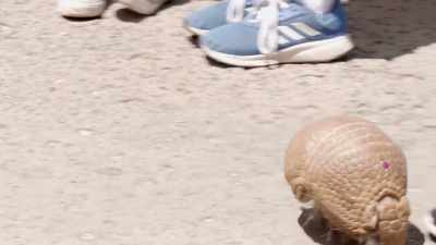 Heather wanted to name
him coco like coco chanel. - Secrets of the Zoo