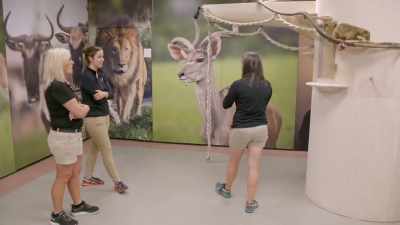 Heather: We tell 'em
it's a souvenir - Secrets of the Zoo