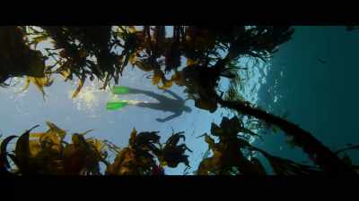 ? Heaving the cool
at your neck ? - Billy & Molly: An Otter Love Story