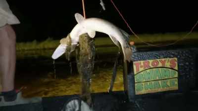 [heavy] yeah, they all look-- - Deadliest Catch: Bloodline