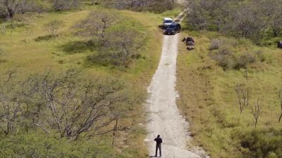 HECTOR:
Lift up your shirt - Hawaii Five-O