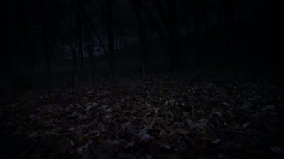 He'd been gone a while, - Beyond Skinwalker Ranch