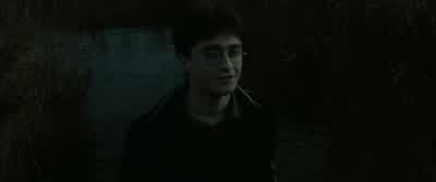 Hedwig. - Harry Potter and the Half Blood Prince