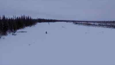 Heimo: WAIT.
IS THAT A -- - The Last Alaskans