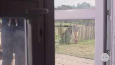 - Helen Taylor's best friend? - The Watcher in the Woods