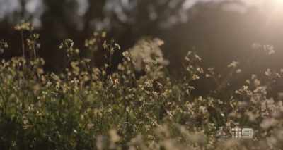 HELENA KAM: Gabriel was born here.
(LAUGHS) - A Fire Inside
