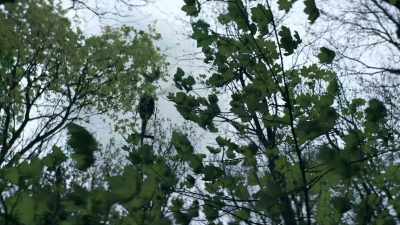 [ Helicopter blades whirring ] - The Hunt for Raoul Moat