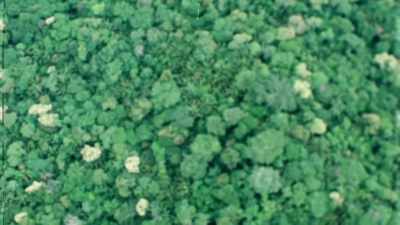 [ helicopter blades whirring ] - Apollo: The Forgotten Films