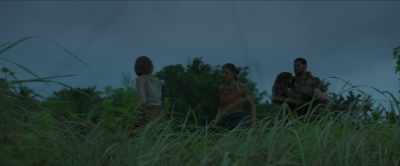 [helicopter propellers
beating distantly] - The Bayou