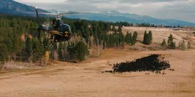 (HELICOPTER WHIRRING) - Yellowstone