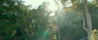 Helicopters! Helicopters! - Loving Pablo