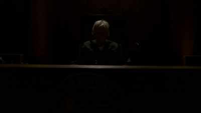 He'll be hearing cases
presented by animal owners - Gary Busey: Pet Judge