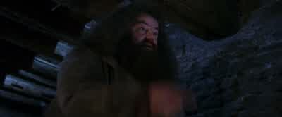 He'll be under the finest headmasterHogwarts has seen, Albus Dumbledore. - Harry Potter and the Philosopher's Stone