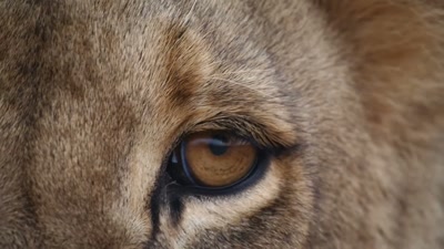 '..he'll become a target. - A Year on Planet Earth