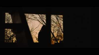 He'll fly his astral plane - My Psychedelic Love Story