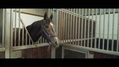 He'll probably
be one of the outsiders, - Horsepower