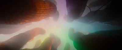…which allows Paloma to
distinguish one color from another. - Our Universe