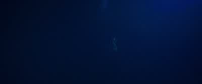 Hello, are you there? - 47 Meters Down