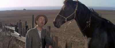 Hello, Beatrice. - The Russians Are Coming the Russians Are Coming