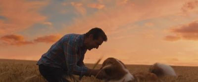 Hello, Boss Dog. - A Dog's Journey