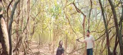 Hello Cheta!
Vedha, my dear lion cub! - Vikram Vedha