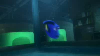 Hello? Hello? Can you help me? Me help you? Ugh. Oh. - Finding Dory