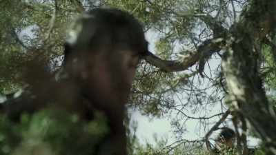 Hello? Hello?
Does anyone copy? - Jurassic Hunt