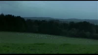 Hello? Hello! Hello! Hello! Hello! - 28 Days Later