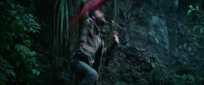 Hello! Hello! I'm here! - Jungle