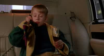 -Hello? -Hello. -Know any good toy stores? -Yes, sir! - Home Alone 2: Lost in New York