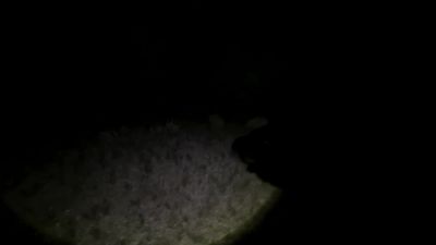 Hello! - Horror in the High Desert 2: Minerva