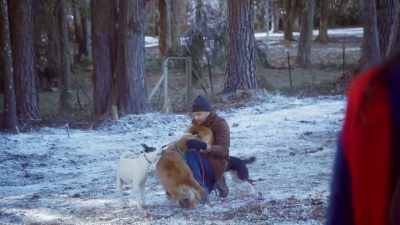 Hello, hello. - The Dog Days of Christmas