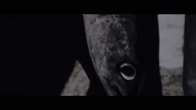 - Hello? - Hey Reynolds, it's Trevor. - The Machinist