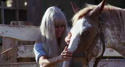Hello, horsey. - Angels' Wild Women
