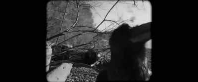 - Hello, how are you?
- Hello, how are you? - Nandor Fodor and the Talking Mongoose