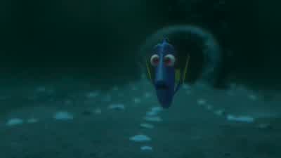 Hello. I'm... - Dory! - Dory! - Finding Dory