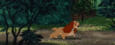 Hello, Jock. - Lady and the Tramp
