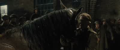 Hello, Joey. - War Horse