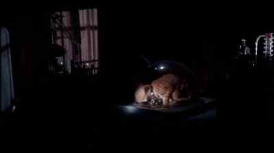 'Hello, kitty.' - One of Our Spies Is Missing