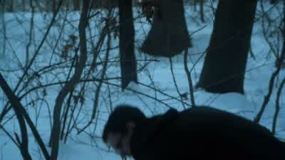 Hello, Kristin. - Gotham