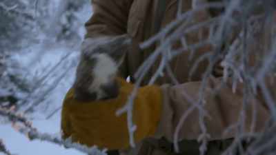 Hello, marten.
It'’s beautiful. - Life Below Zero: Next Generation