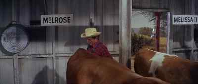 Hello, Melissa, baby. - What a Way to Go!