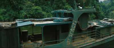 Hello,
my little biolum-- - Anaconda