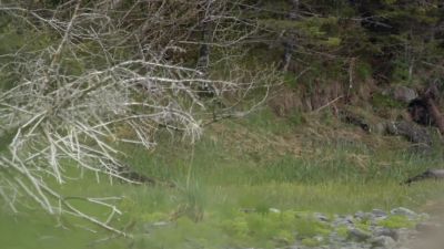 Wow. - Life Below Zero: Next Generation